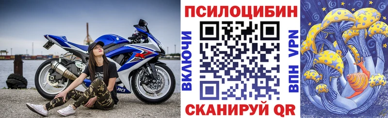 сколько стоит  Северская  ОМГ ОМГ маркетплейс  Галлюциногенные грибы Psilocybe 